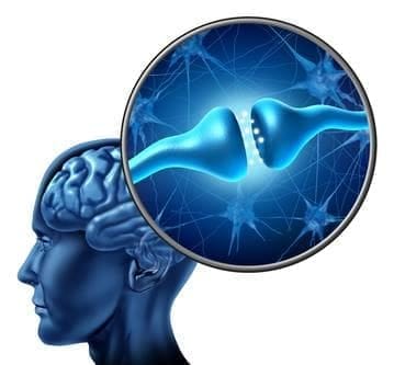 How does hypnotherapy work? Illustration of a brain and a neuron synapse